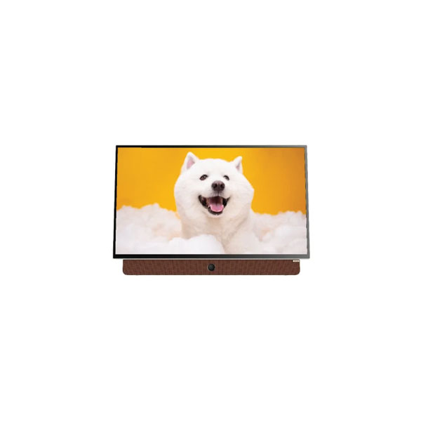 Google Tivi di động Coocaa 2K 24 inch 24LP6000G